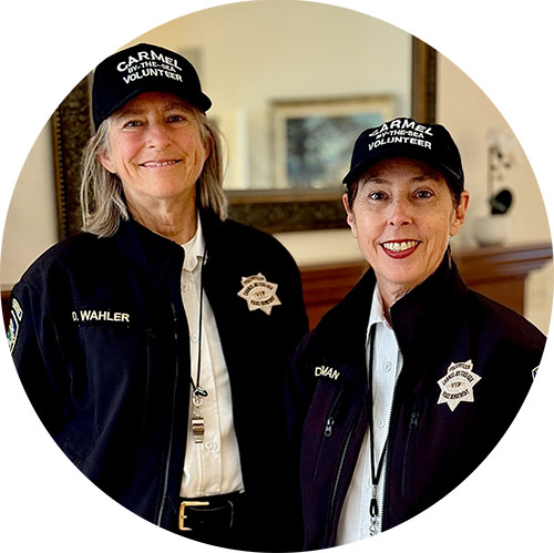 Volunteers in Police Service (VIPS)